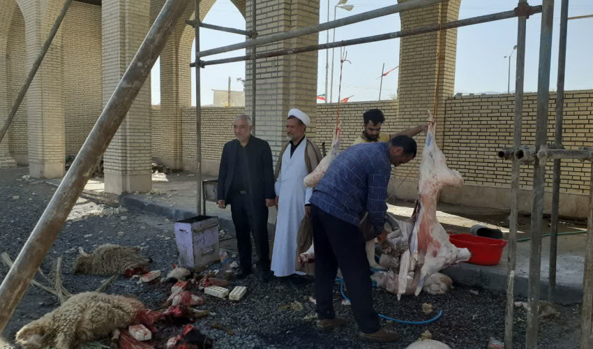 نذر قربانی دانشگاهیان دانشگاه بیرجند برای سلامتی امام زمان(عج) و رهبر معظم انقلاب